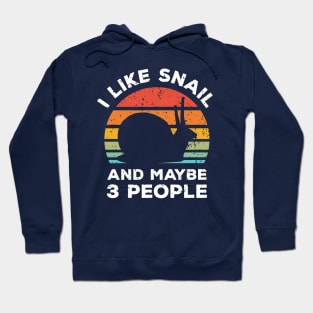 I Like Snail and Maybe 3 People, Retro Vintage Sunset with Style Old Grainy Grunge Texture Hoodie